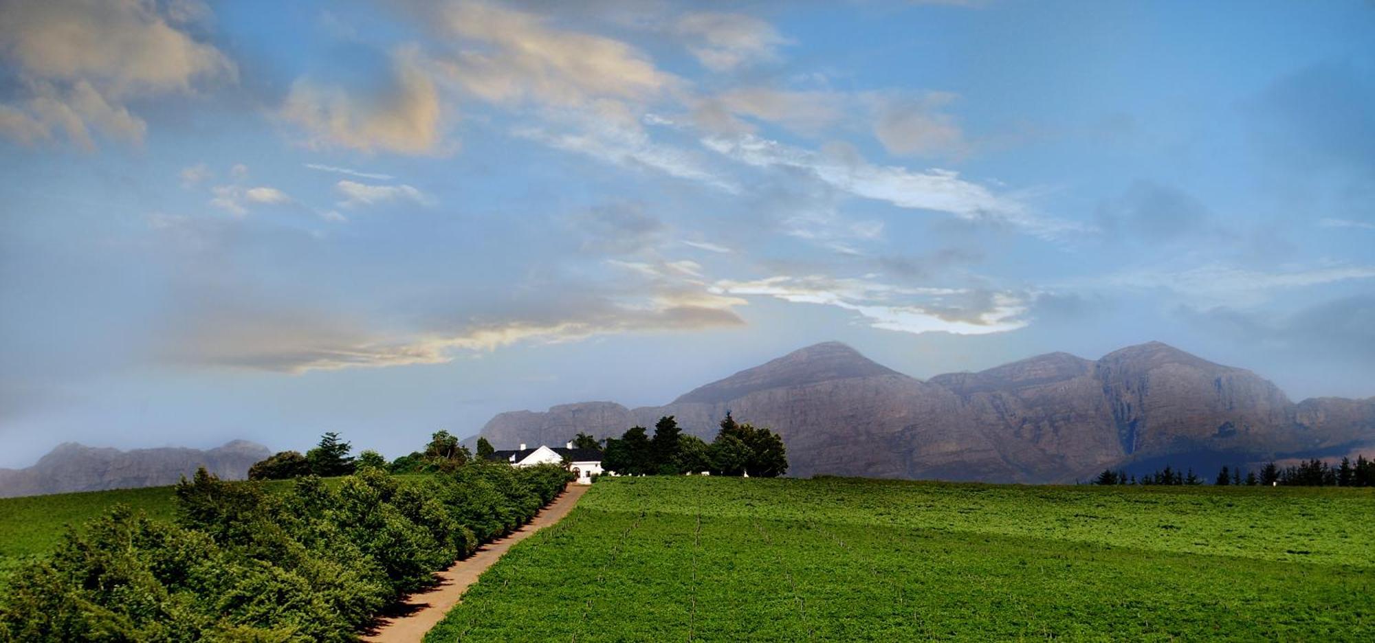 Bakenhof Winelands Lodge พาร์ล ภายนอก รูปภาพ