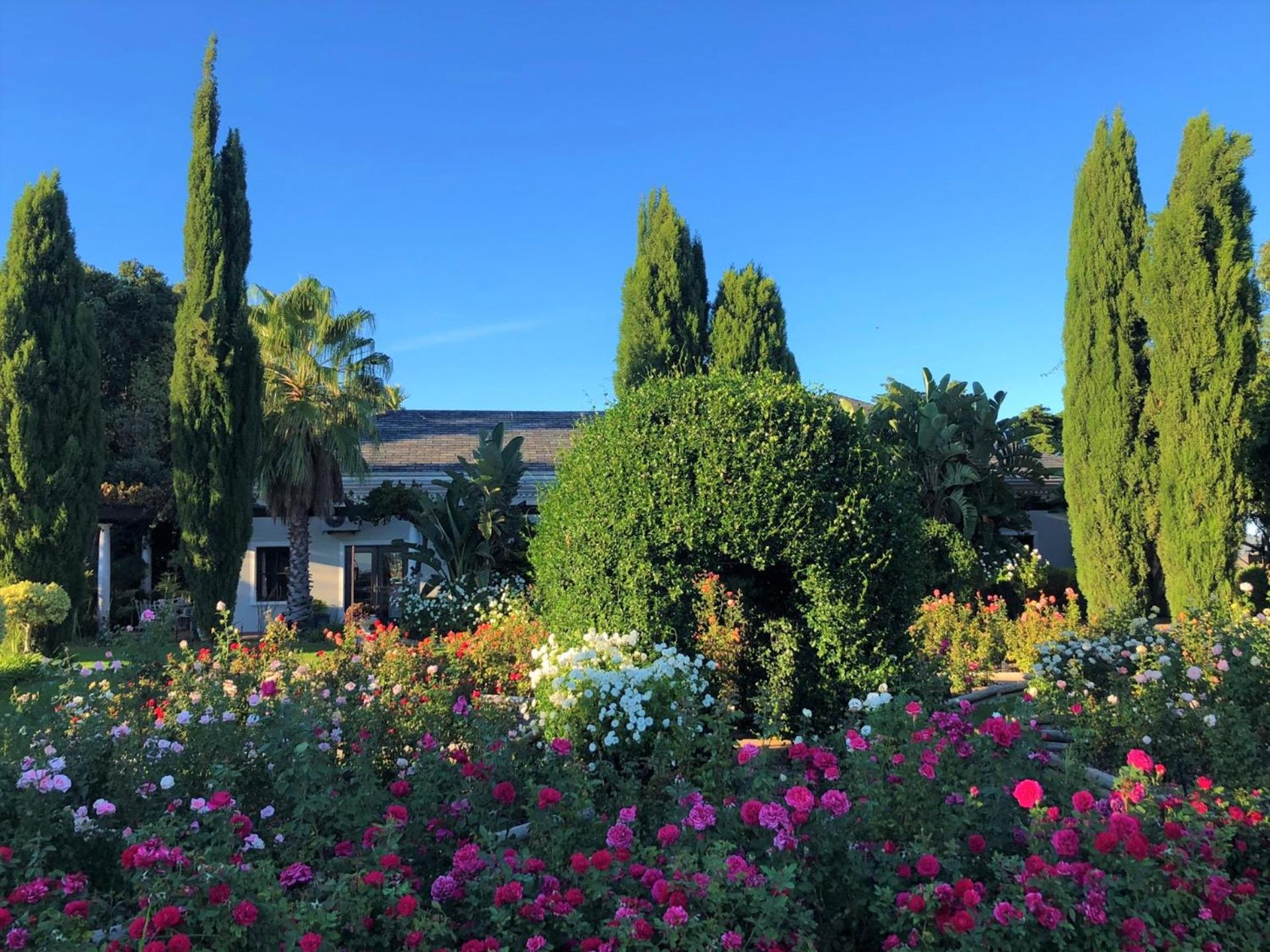 Bakenhof Winelands Lodge พาร์ล ภายนอก รูปภาพ